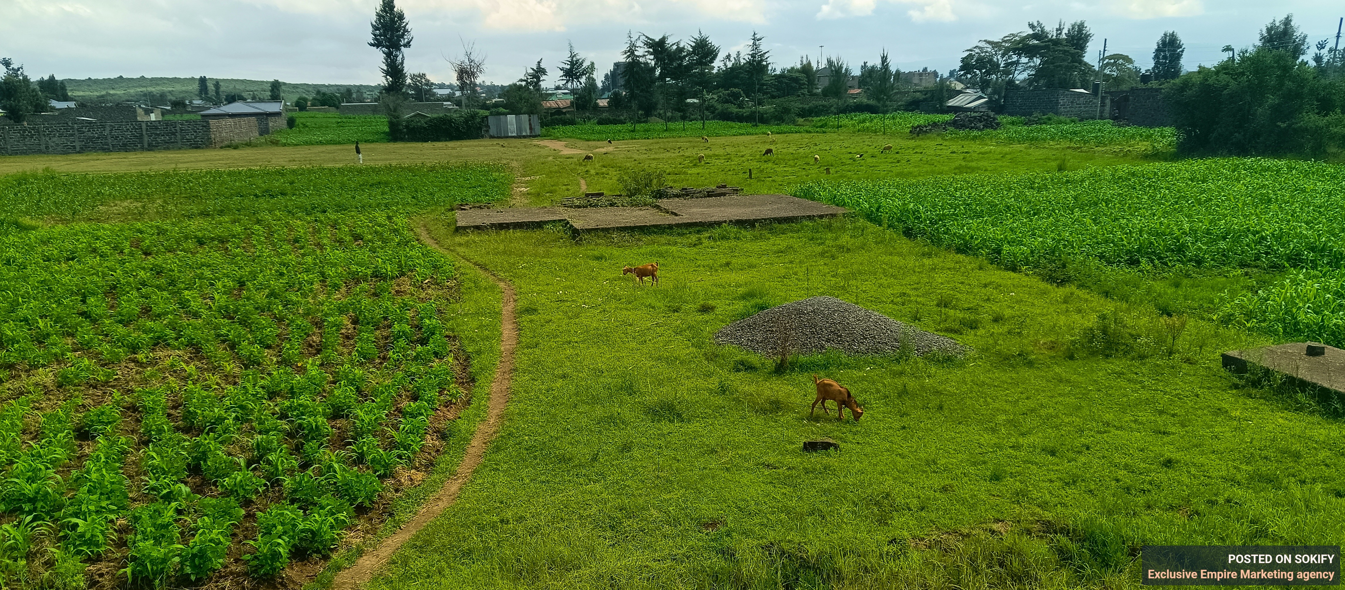 Distress Sale! Prime Nakuru Plot with Ready 3βBedroom Foundation + Title Deed. As Low As KES 1.5Mβ